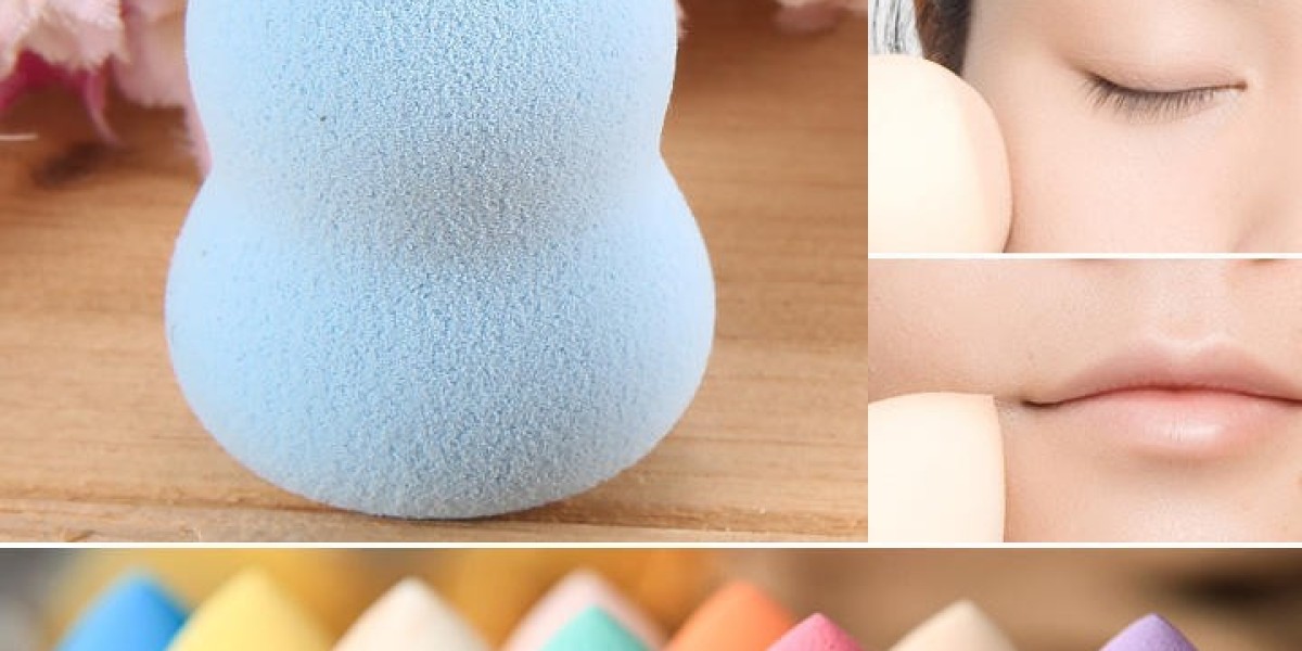 Top 20 Companies in  South Korea Makeup Sponge Market 2025: Preparing for the Unpredictable Future