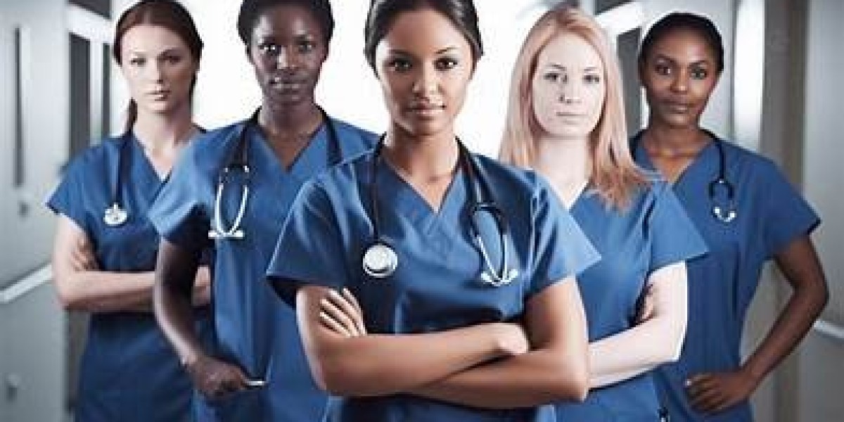 Mastering Success in the NURS FPX 4015 Assessment: An In-Depth Overview for Nursing Students