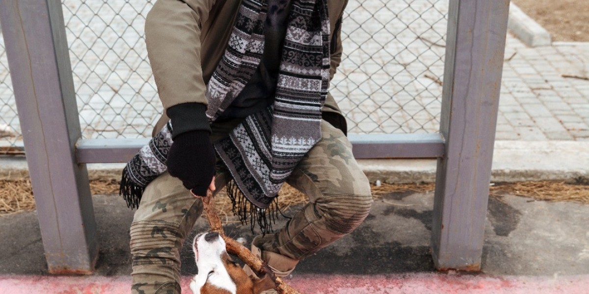 Give Your Dog Freedom Without Worrying About Safety