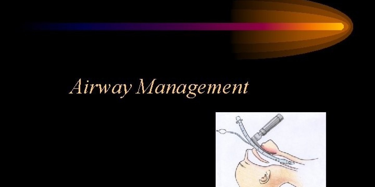 Airway Management Devices Industry Analysis: Market Dynamics and Forecast