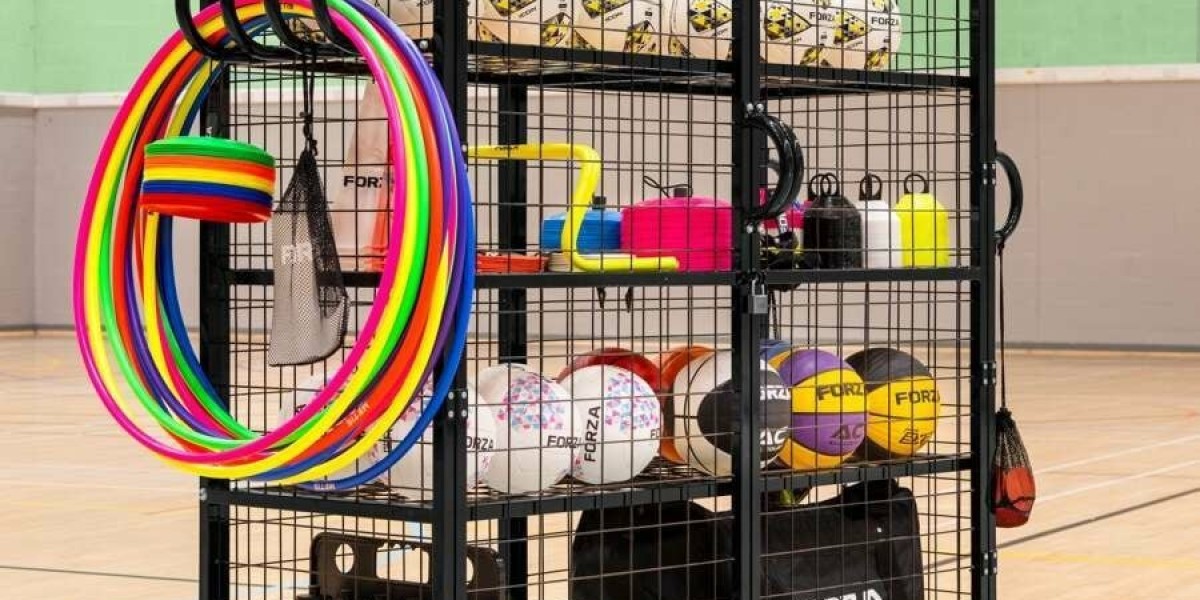 Ball Sports Luggage Market Expansion Trends and Forecast to 2034