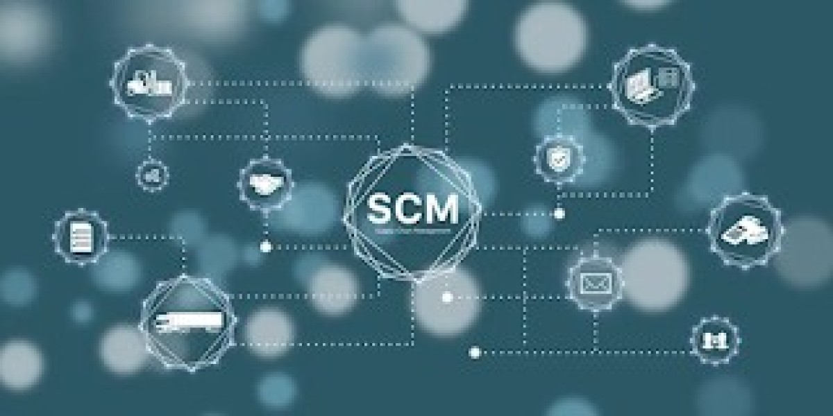 Supply Chain Management Software Market Size and Forecast 2025 - 2033