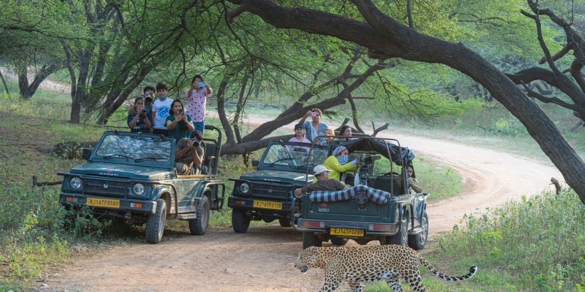 Jodhpur to Jawai: Experience the Land of Leopards