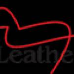 Womens Leather Dresses