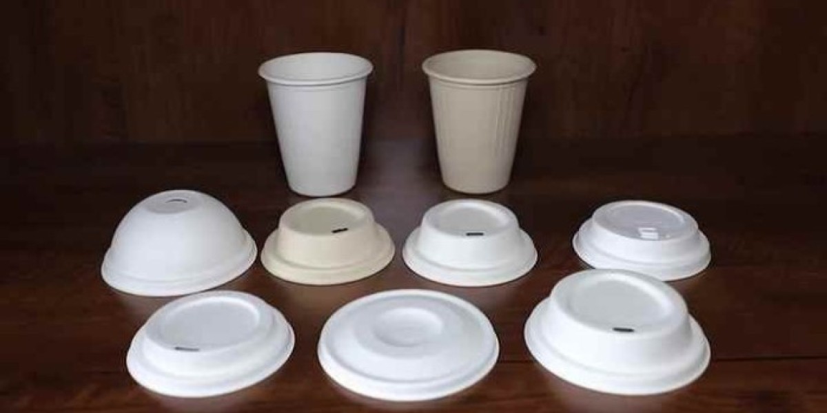 Disposable Lids Market : Notable Developments and Geographical Outlook 2025 to 2035