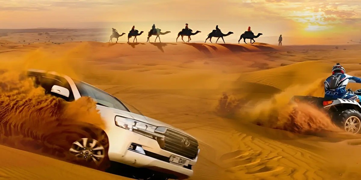 Discover Serenity and Adventure on a Desert Morning Safari