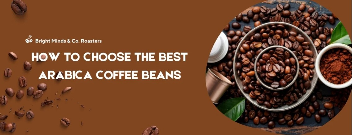 brightmindsandcoroasters
