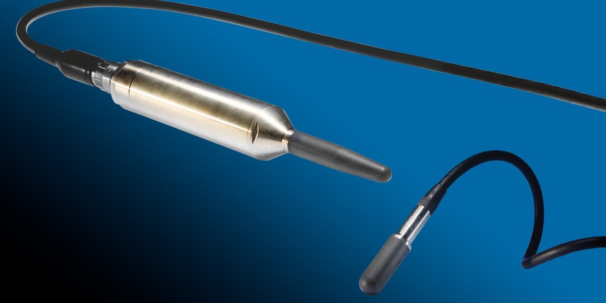 Global Hydrophone Market Analysis: Growth Drivers, Segmentation, and Opportunities (2026–2034)