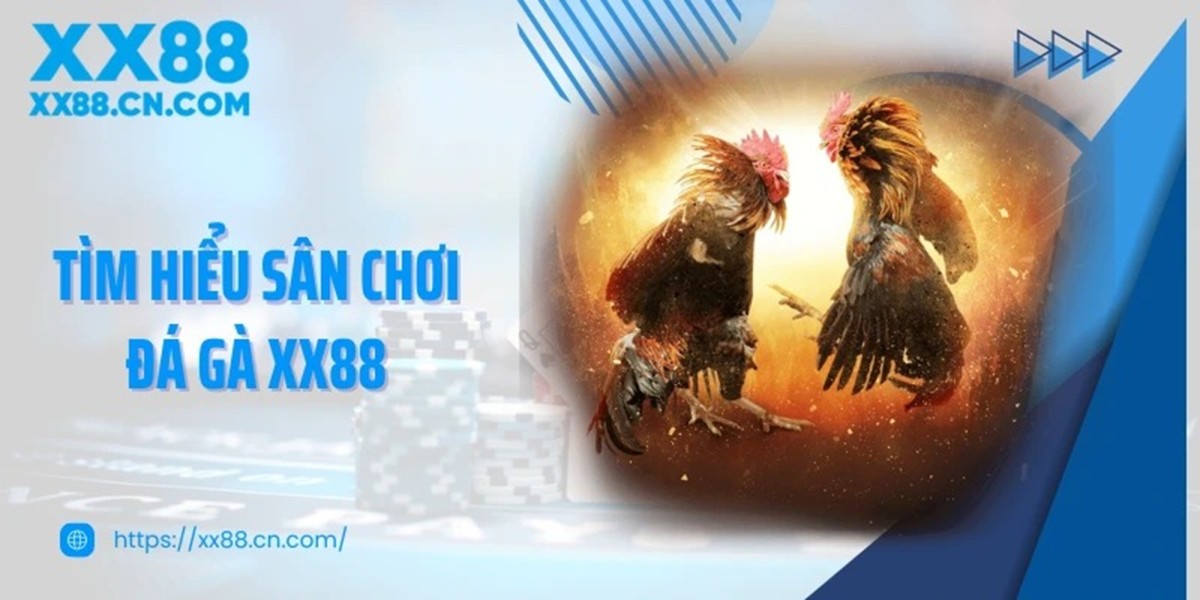 Vi sao da ga XX88 ngay cang duoc nhieu nguoi tim kiem