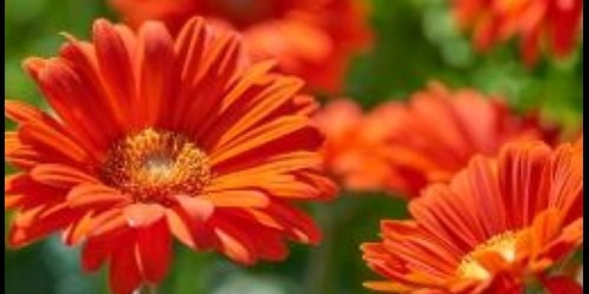 The Gardening Fool: Why Every Garden Is Better With Flowering Plants