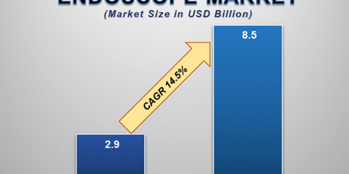 Single Use Endoscope Market Size and Forecast 2025 - 2033