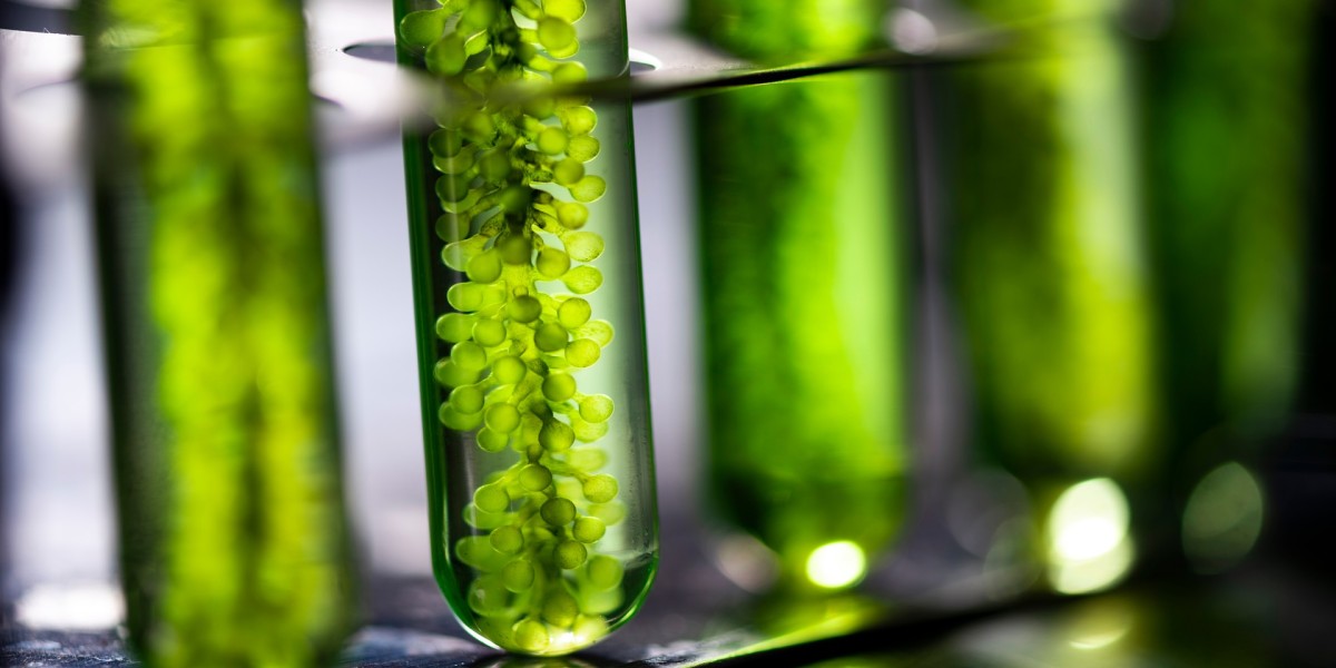Microalgae Market [Latest Reports] | Business Environment Analysis, Corporate Strategies, Competitive Benchmarking, Inve