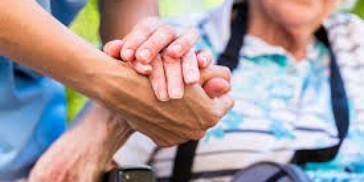 Global Long-Term Care Market Analysis: Growth Drivers, Segmentation, and Opportunities (2026–2034)