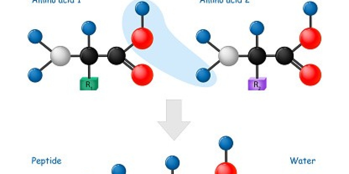Top 20 Companies in United Kingdom Peptide Synthesis Market 2025: Market Statistics Report