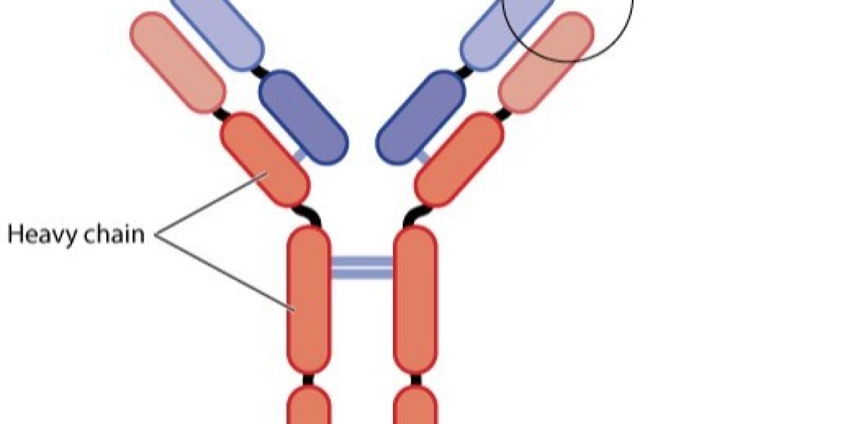 Polyclonal Antibody Market: A Vital Tool Accelerating Advances in Life Sciences
