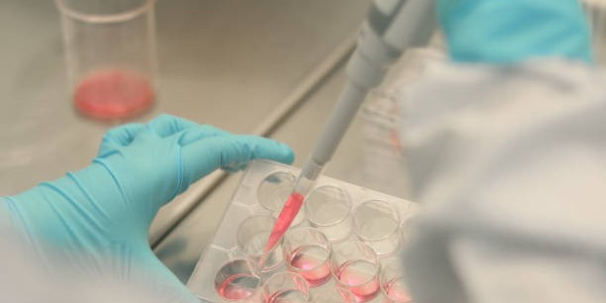 Cell Culture Market Trends: Rising Demand in Vaccine Development and Regenerative Medicine