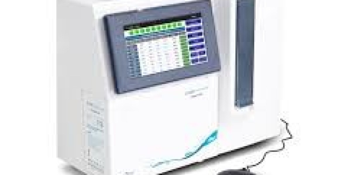 Global Blood Gas and Electrolyte Analyzer Market Analysis: Growth Drivers, Segmentation, and Opportunities (2025–2034)