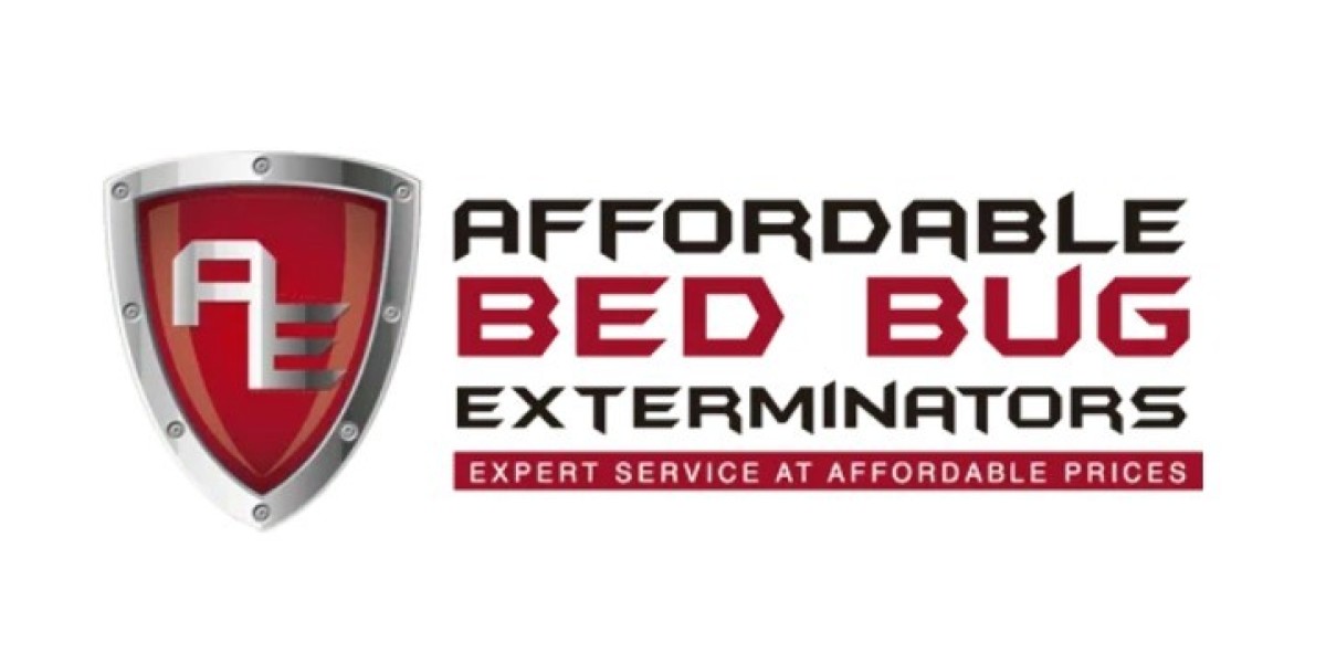 Understanding Bed Bug Heat Treatment Services
