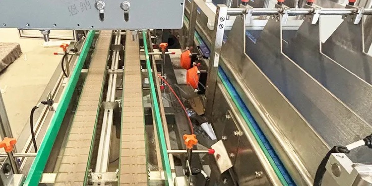Canned Case Packer High Productivity Advantages