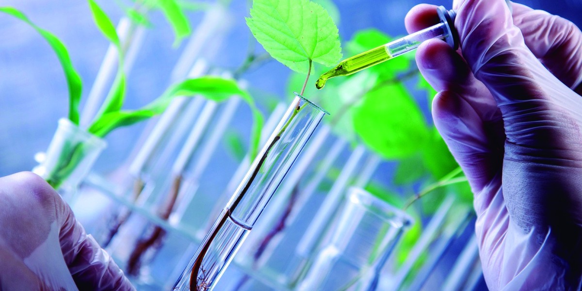 Top 20 Companies in Brazil Agricultural Biologicals Market 2025: Market Statistics Report