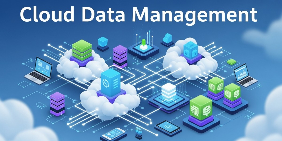 Cloud Data Management: The Backbone of E-commerce Success