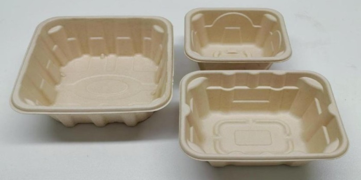 Waste-Fibre Trays Market 2026 Assessment and Key Insights Analyzed Till 2036