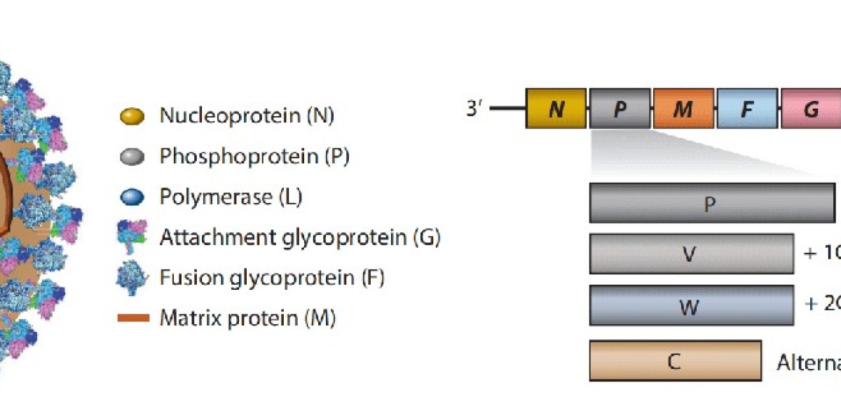 Nipah Virus Antigens and Antibodies