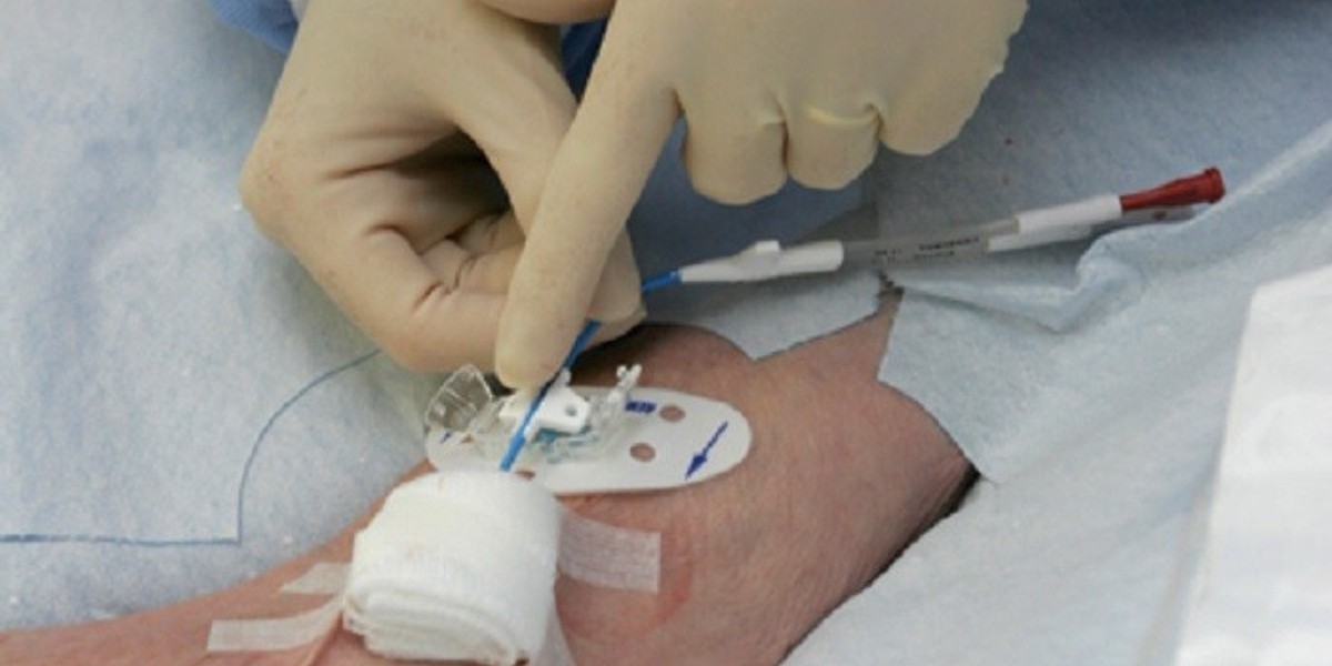 Exosome Research Market Opportunities in Biotechnology and Pharmaceutical Sectors
