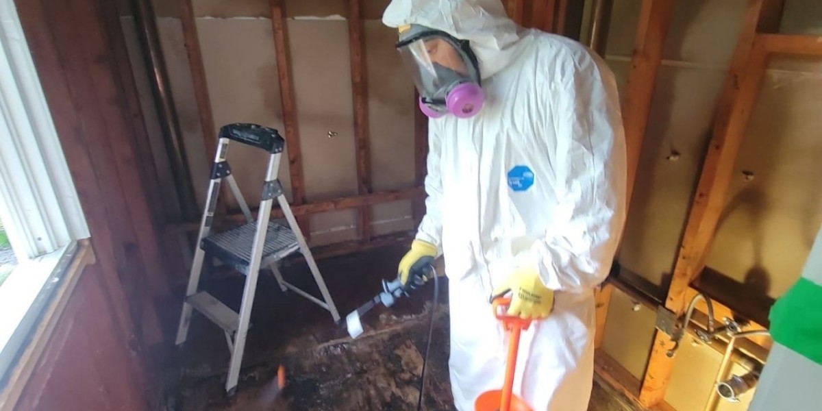 The Long-Term Effects of Mold on Your Home and Health