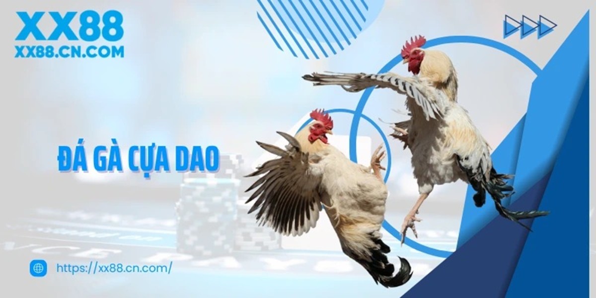 Suc hut cua da ga cua dao trong cong dong yeu ga choi