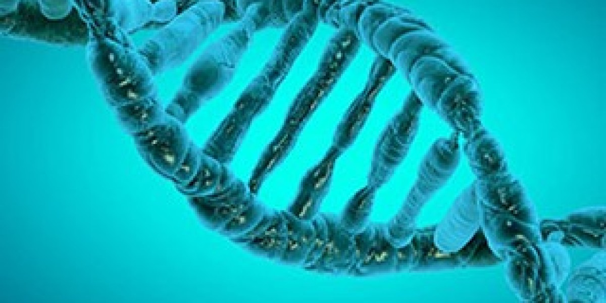 Epigenetics Market Insights: DNA Methylation, Histone Modifications, Chromatin Accessibility, and Non-Coding RNA (2026–2