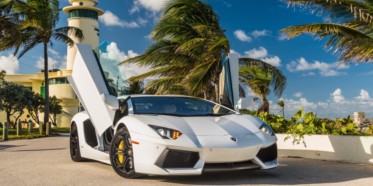 Experience Luxury and Thrill on Miami Roads