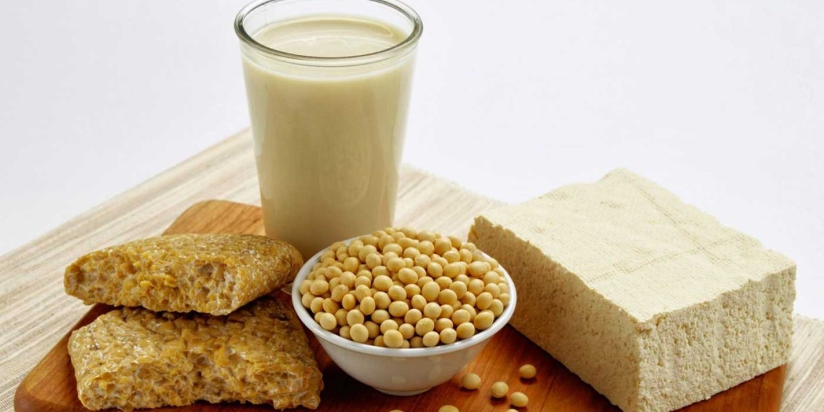 Soy Protein Ingredients Market Outlook [2025–2034] | Industry Insights, Market Overview, Comprehensive Analysis, Emergin