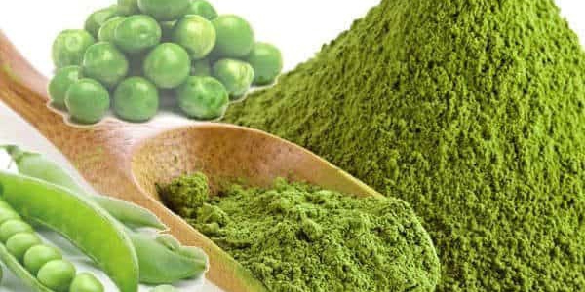 Pea Protein Market: Growth Trends and Future Opportunities”