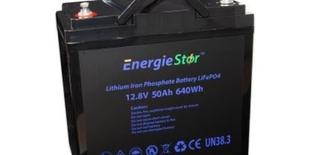 Choosing the Right Long Life Lithium Battery for Your Energy Needs in Homes, Solar Systems, and EVs