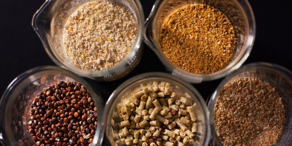 North America Feed Enzymes Market: Market Study Report