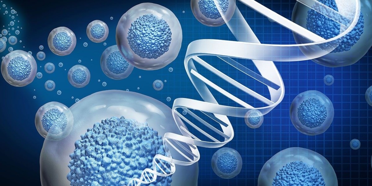 From Stem Cells to CAR-T: Key Innovations Shaping the Cell Expansion Market