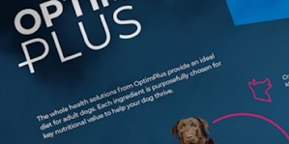 Creating A Brand Identity That Your Audience Will Love