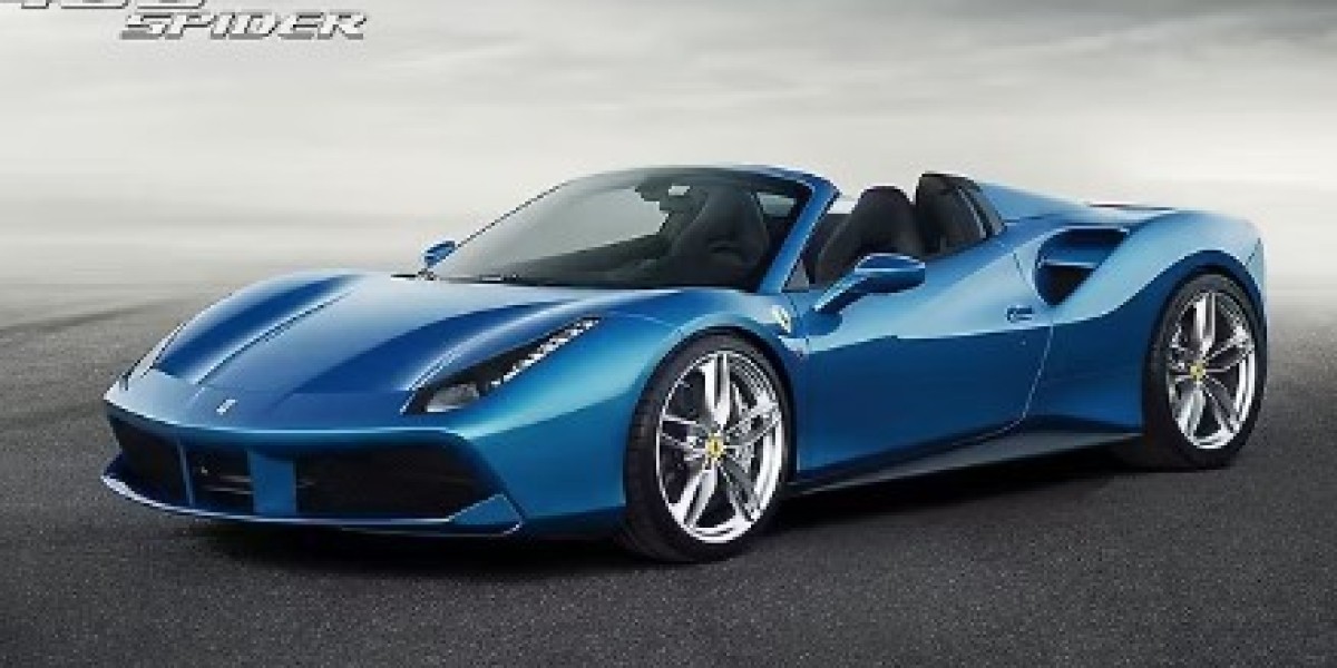 Explore Miami in Style and Performance