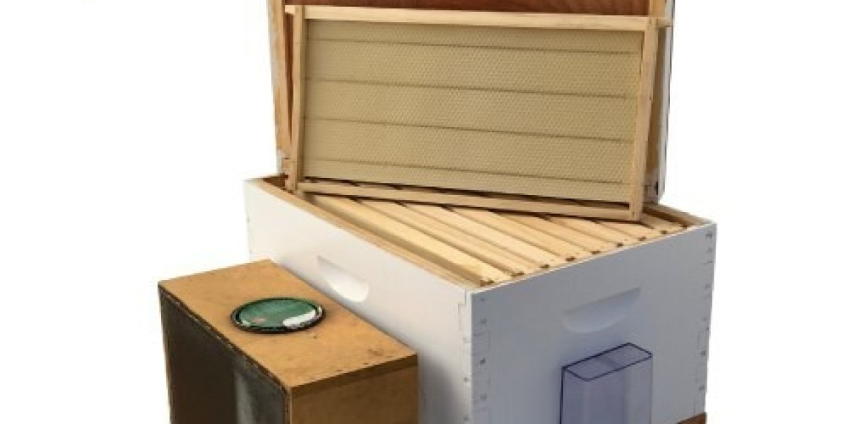 Bee Hive Starter Kit – Buy a Bee Box & Start Beekeeping in AU