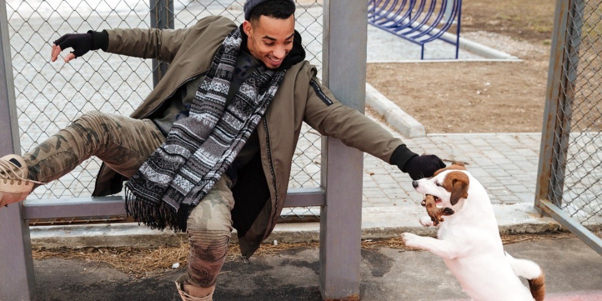 Give Your Dog Freedom While Keeping Them Safe