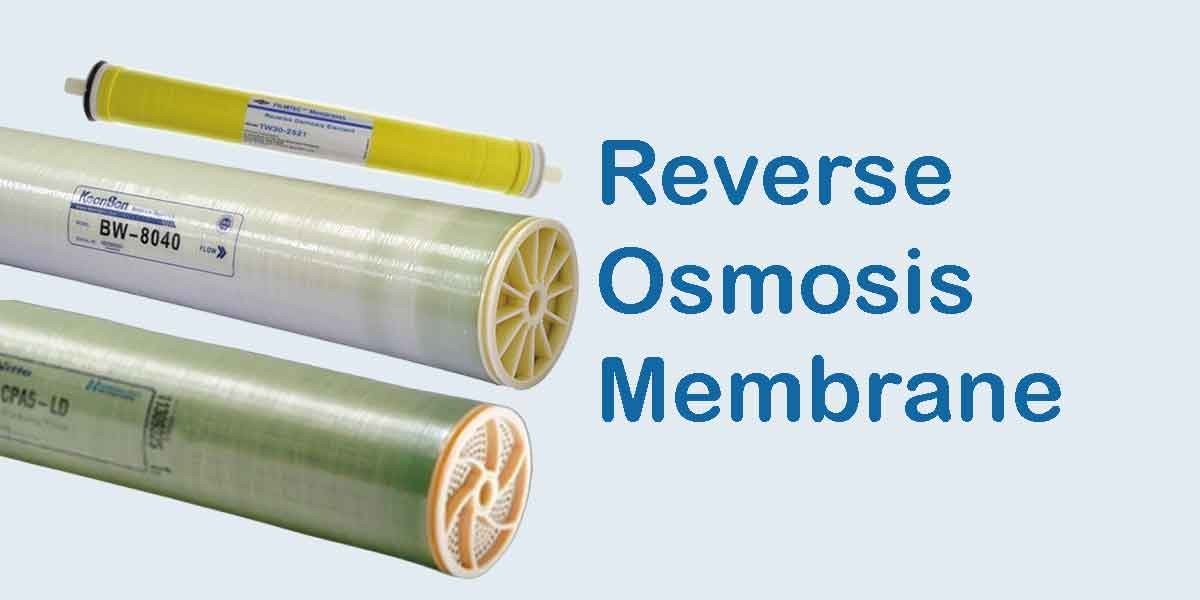 Top 20 Companies in Brazil Reverse Osmosis Membrane Market 2025: Market Statistics Report