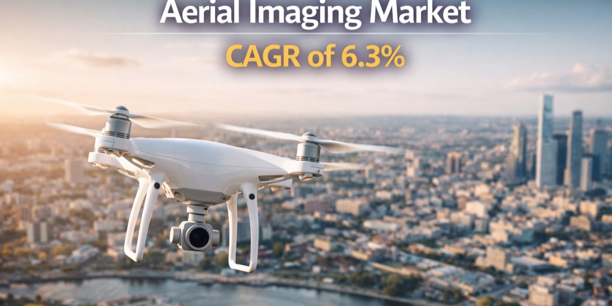 Strategic Aerial Imaging Market Analysis: Driving Geospatial Innovation