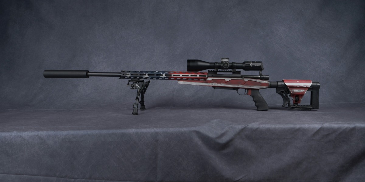 AR10 .308 vs AR-15: Which Rifle Platform Is Right for You?