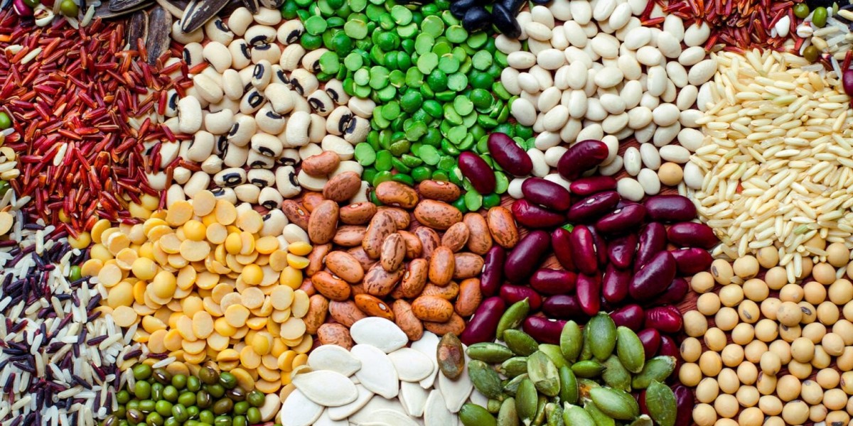Top 20 Companies in Japan Seeds Market 2025: Market Statistics Report