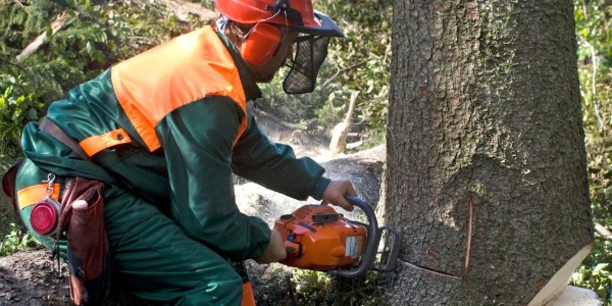 Safe and Efficient Tree Removal by Horhut Tree Experts