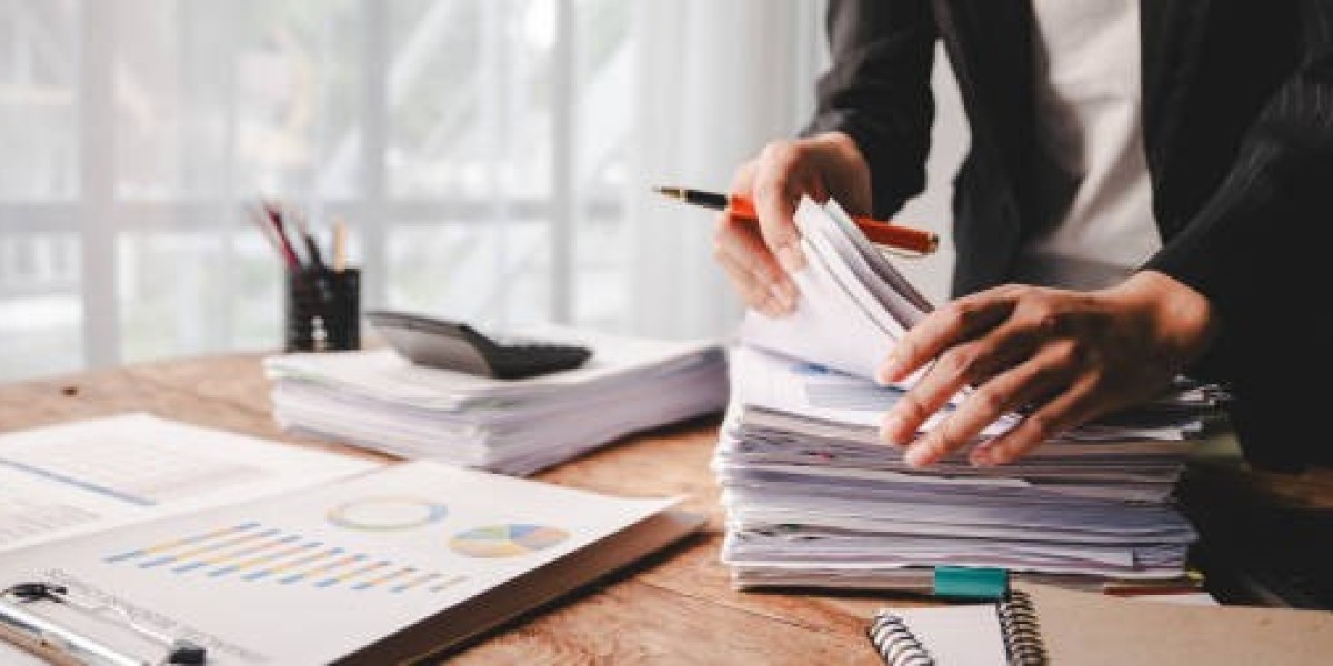 Professional Financial Solutions in UAE with Pegasus Accounting Firm