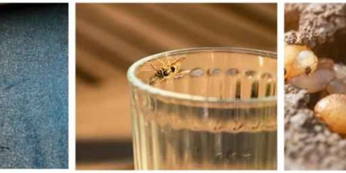 Signs Your Home Has A Hidden Pest Infestation