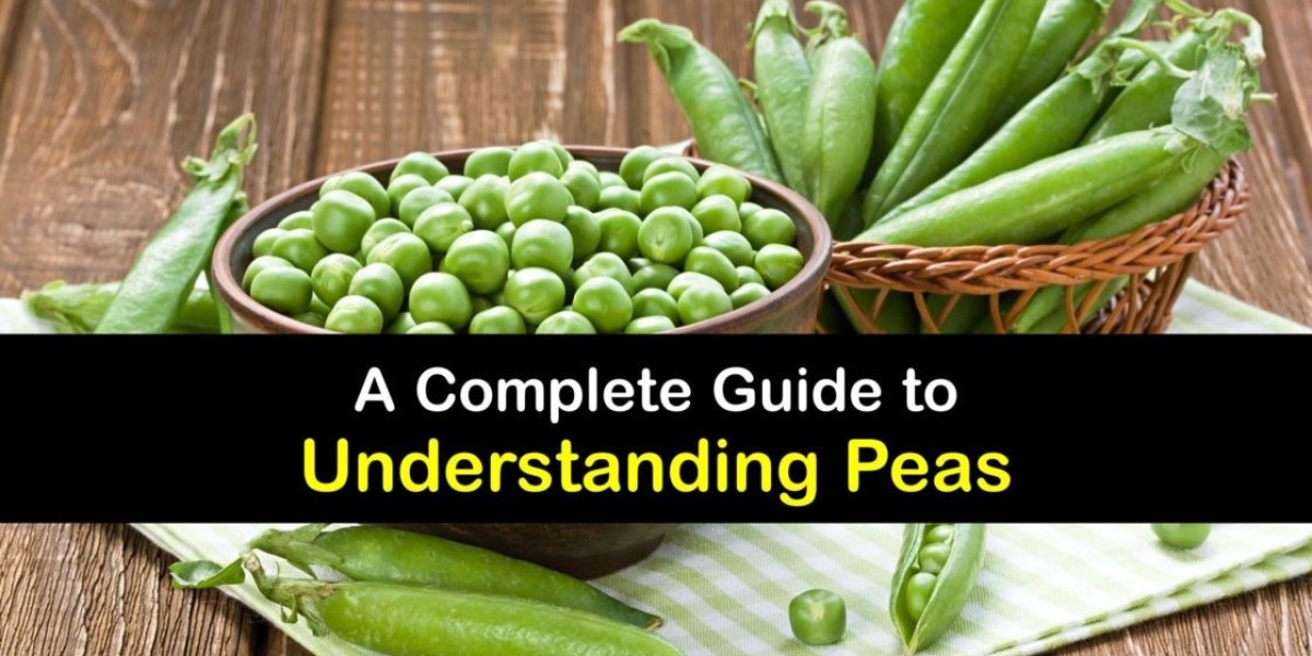 Top 20 Companies in India Pea Derivatives Market Market 2025: Market Statistics Report