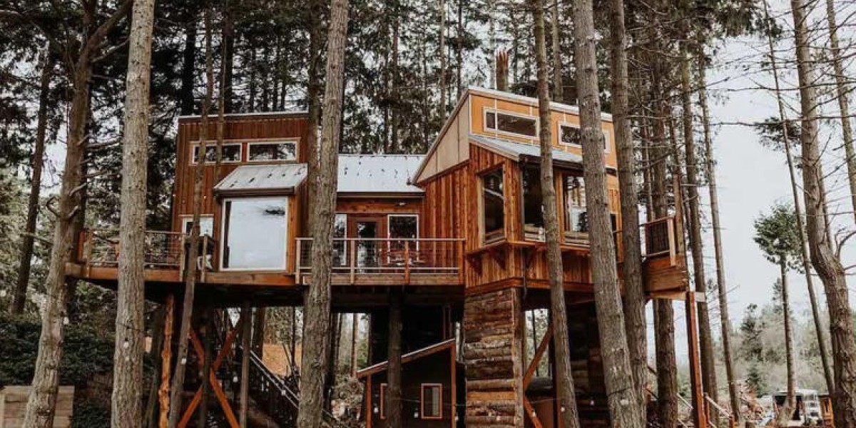 North America Treehouse Glamping Market: Market Study Report